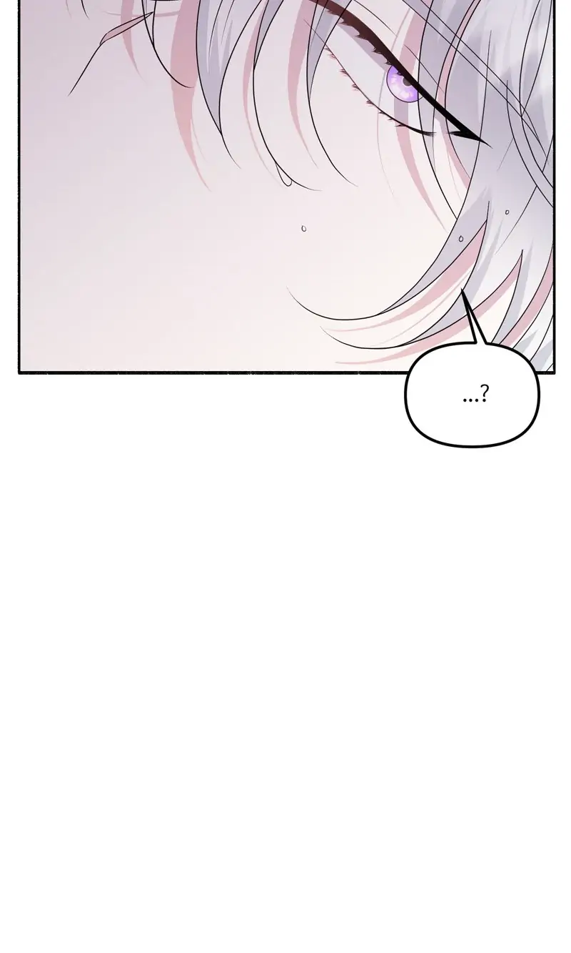 41699047 800 1333 24676