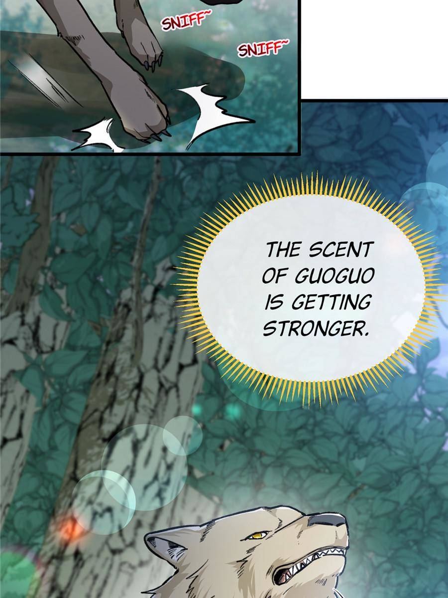 76599953 900 1200 118478